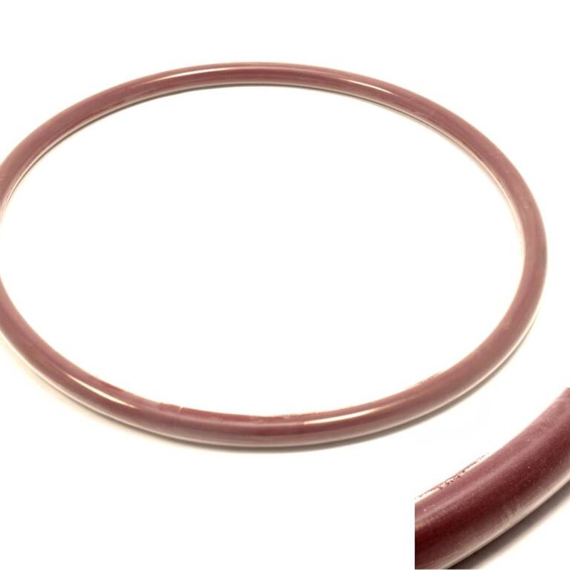 Oring DN 500