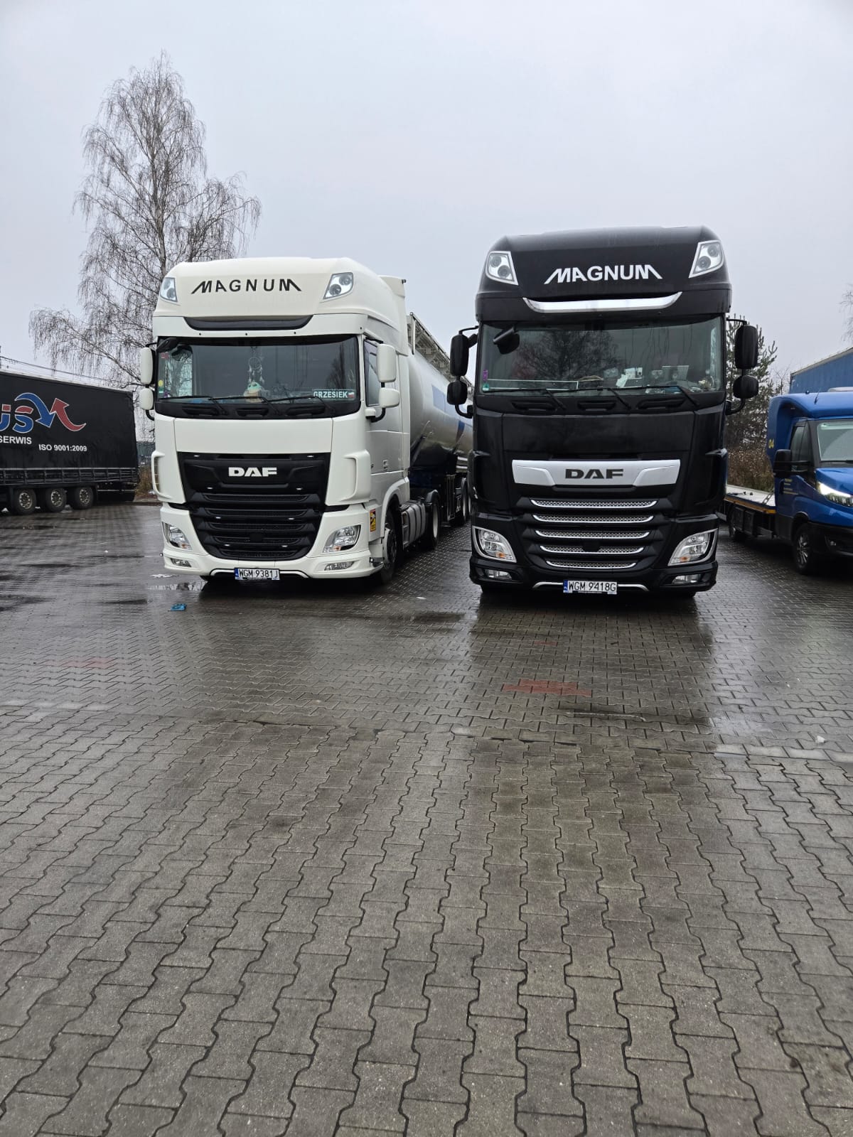 Flota silonaczep DAF Magnum PHS Magnum