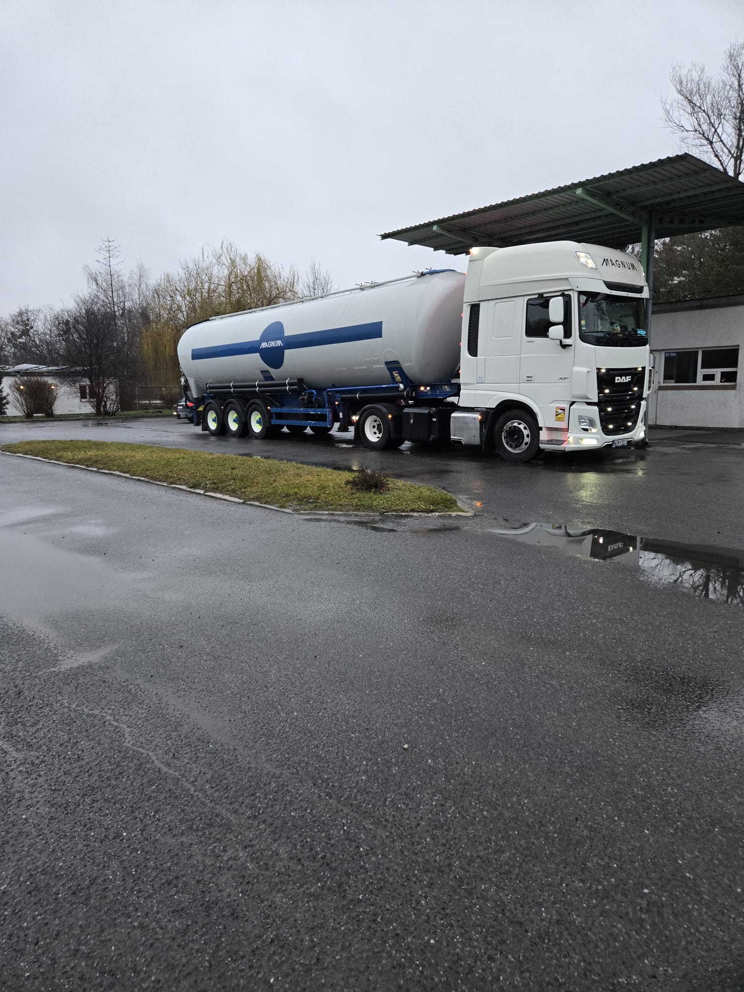 DAF-Siloauflieger im Schüttguttransport