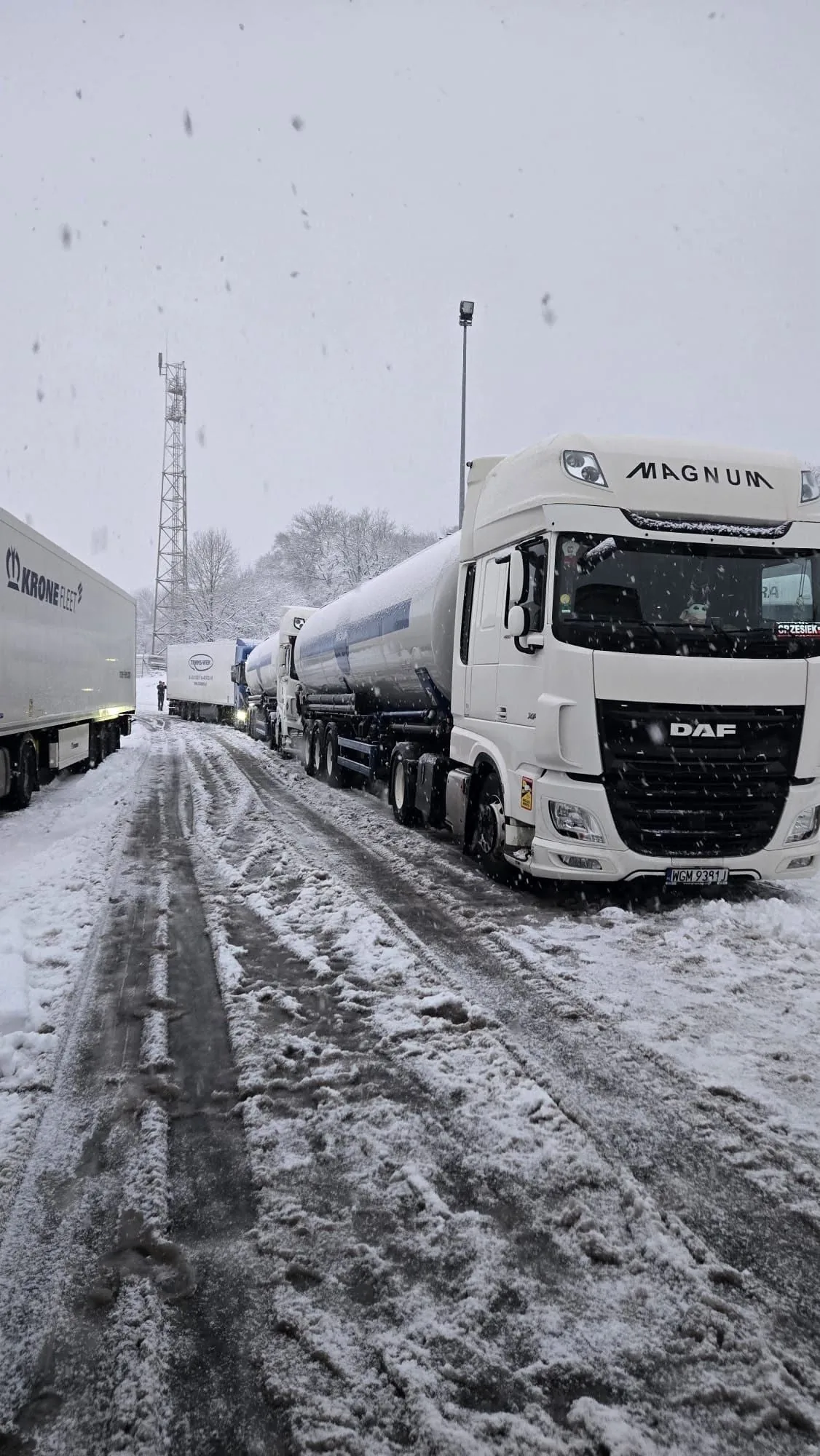 Transport materiałów sypkich silosami po UE